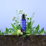 V2H57B33202382A47AB21BE649F7E17FFF0R6985291P6