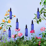 V3H19E1845824C7FD37287A8C5BA78F85F3R6241722P6