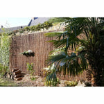 V4H9AA53280D75D49E4B4594B1F4D259904R5781083P2