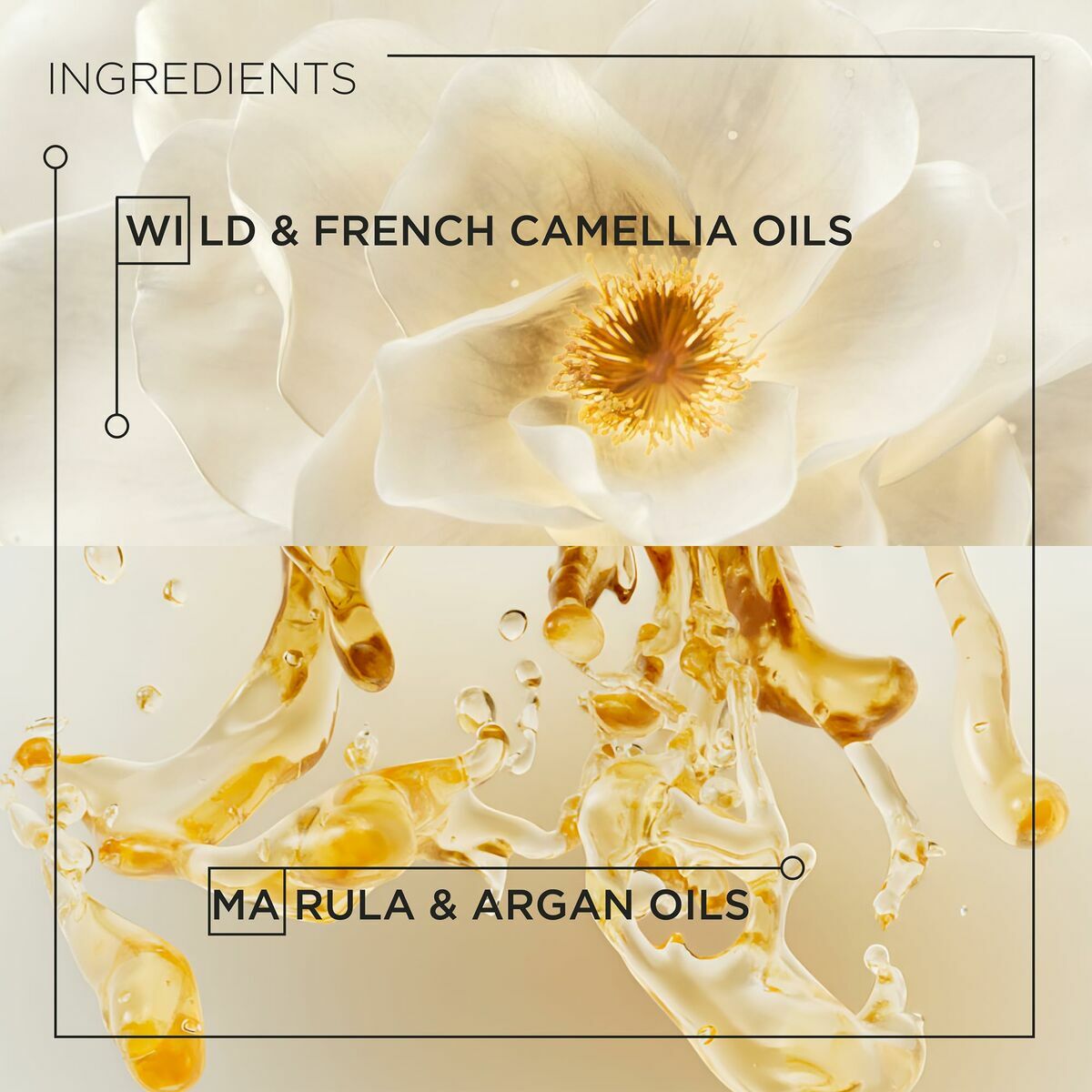 V4HF98BED0F0EB848EBD65095CD458BD653R5915535P4