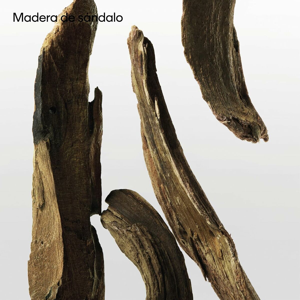 V3H326299D38D33FC3D983EDE57975D8C0ER7125026P10