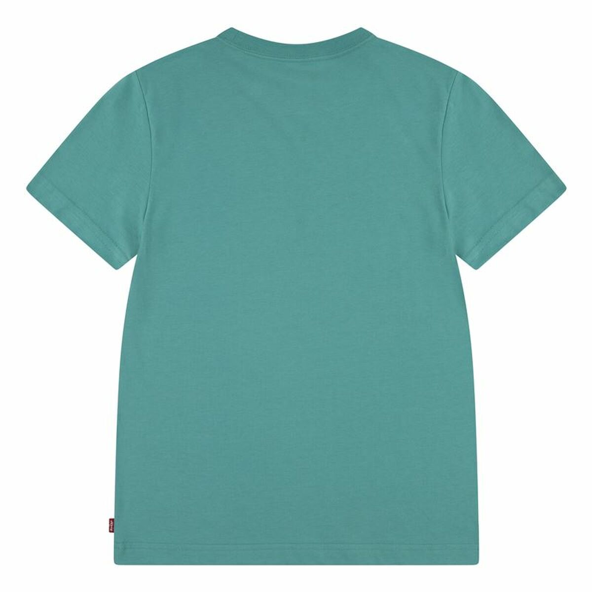 V4HE913D429A772271B2395AE594BE2C4ECR6162552P4