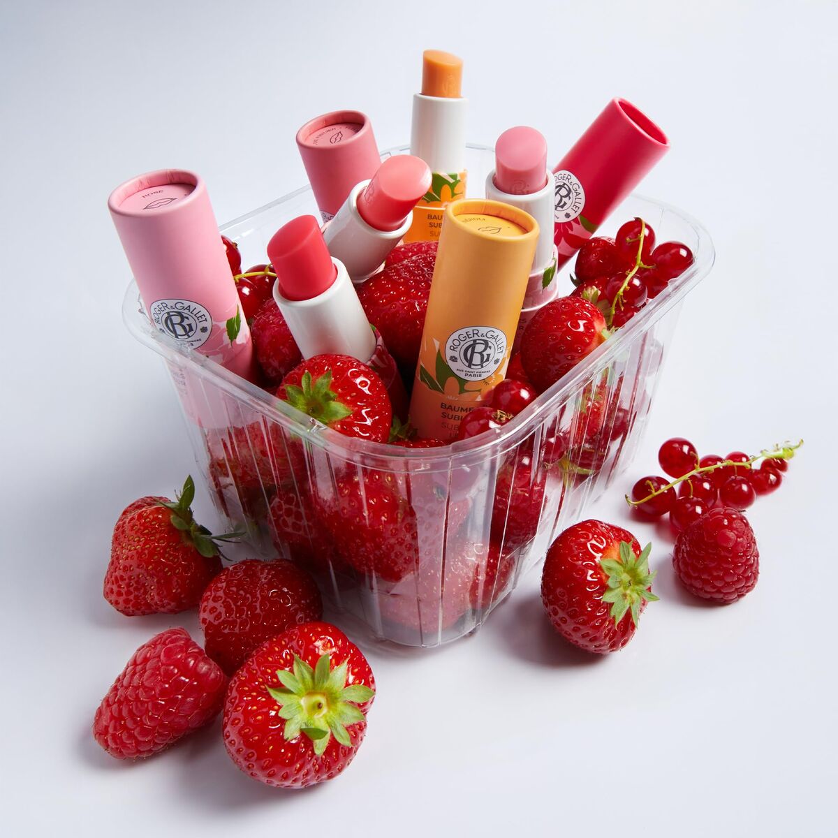 V3H32B8A0179C8FFA56FF3F49990D97B7B7R7356066P5