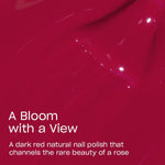 V3H909D97FC7E442D2C3DDE74D8A436F3B0R6241911P3