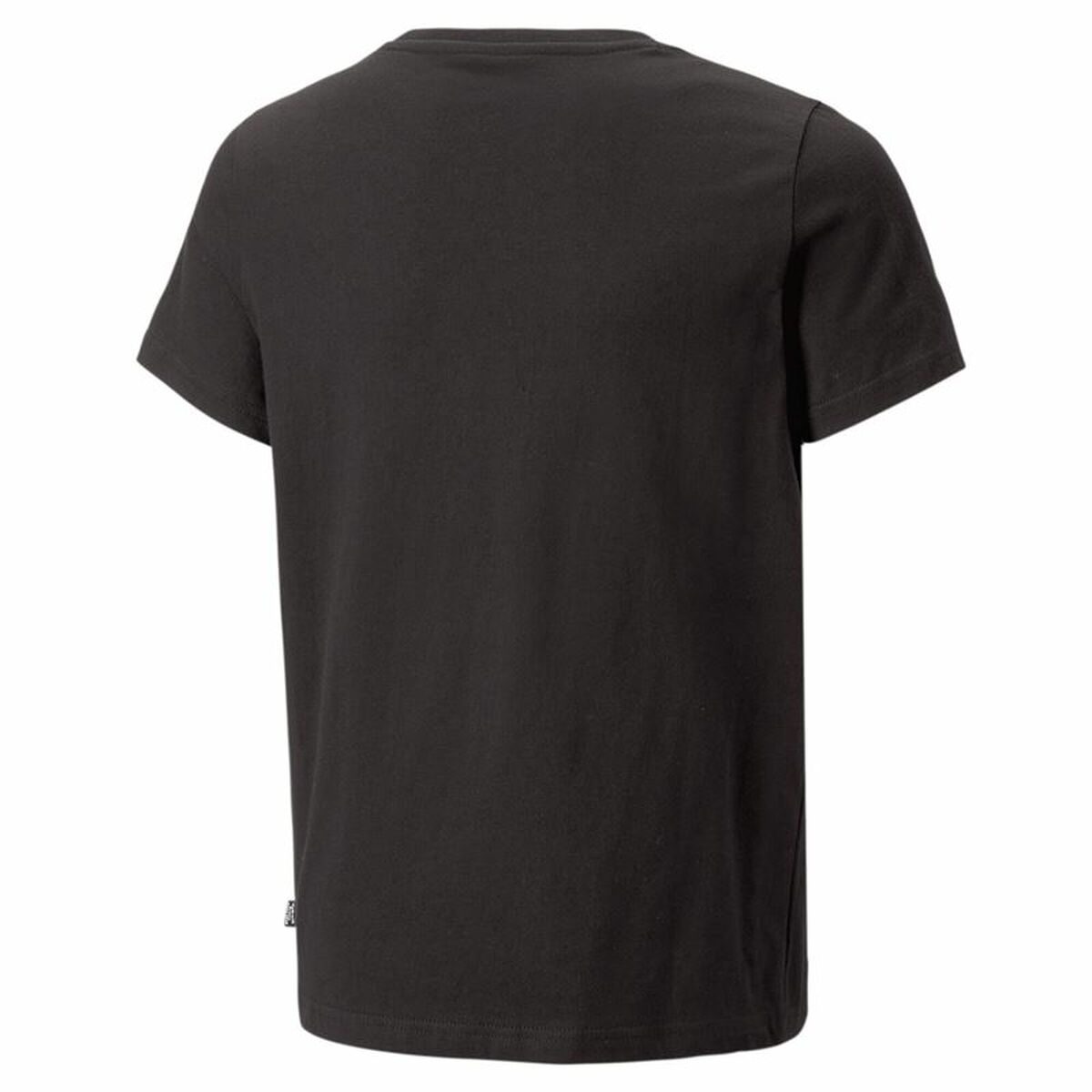 V7HC05290E3CD4336089BBFABC5D36DE9F0R4486988P2