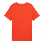 V5H5E0FC52E6A128D6B5A610C79C1AA3212R5464088P2