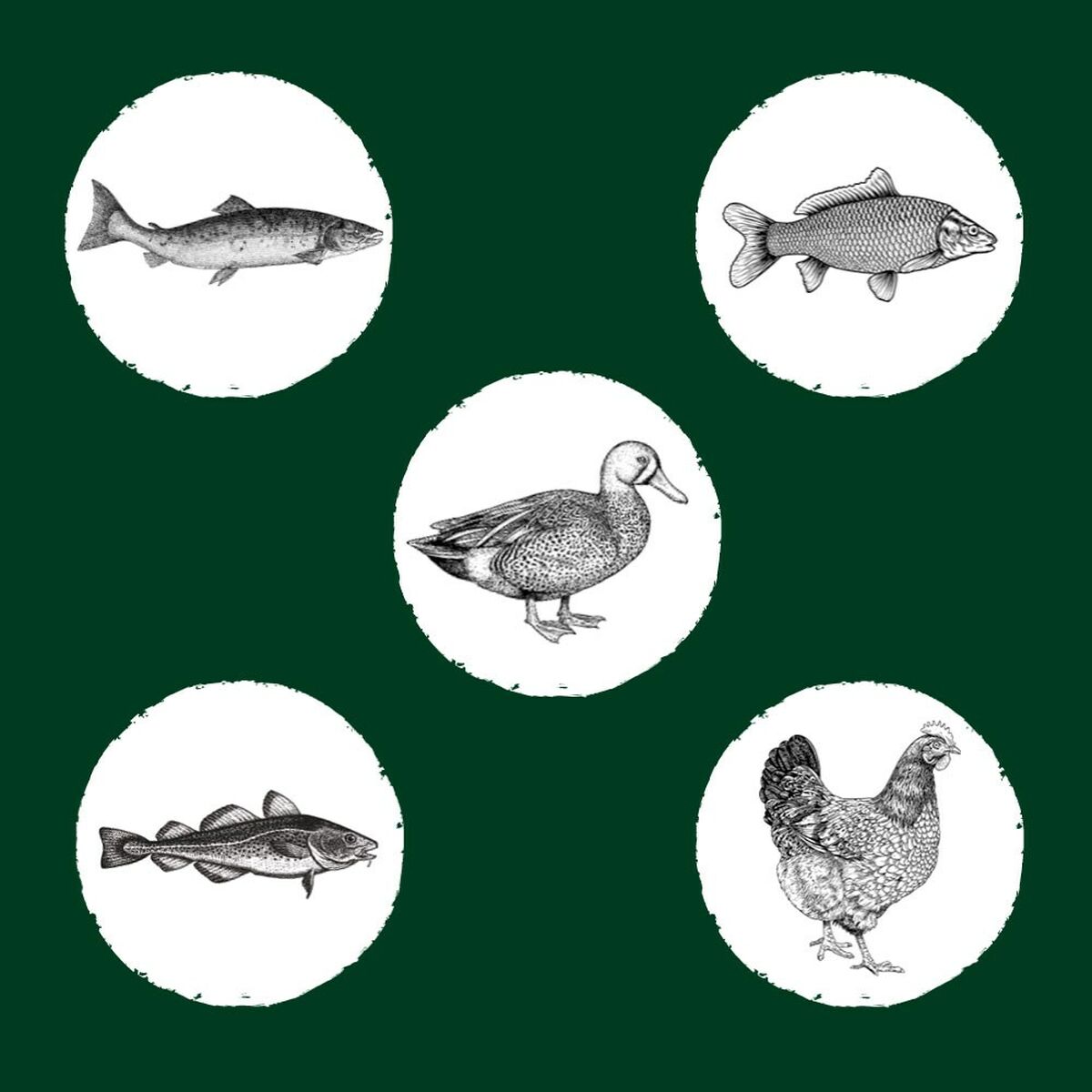 V3HEAFB7B106BF3B8509F35004CA26EE2BDR5624066P6