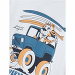 V4HC994C4FB304C268A80977F8014EC5B5BR6081903P3