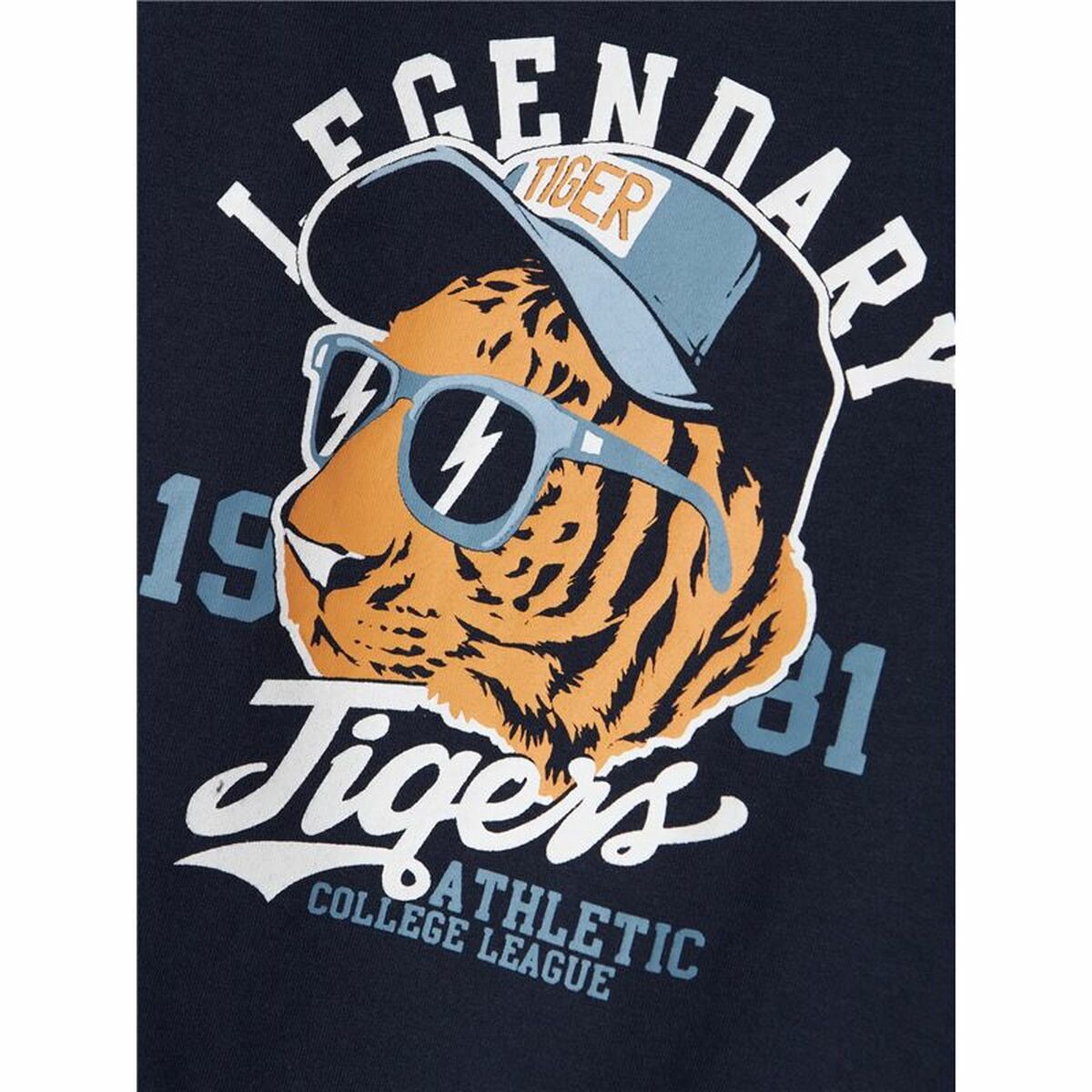 V3H8C1367C7DDC13CF12387F39105ACD12BR6019355P3