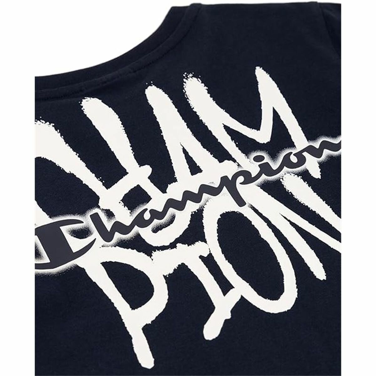 V4H673E7439ED7662DBCD00F60762FD4626R6019281P3