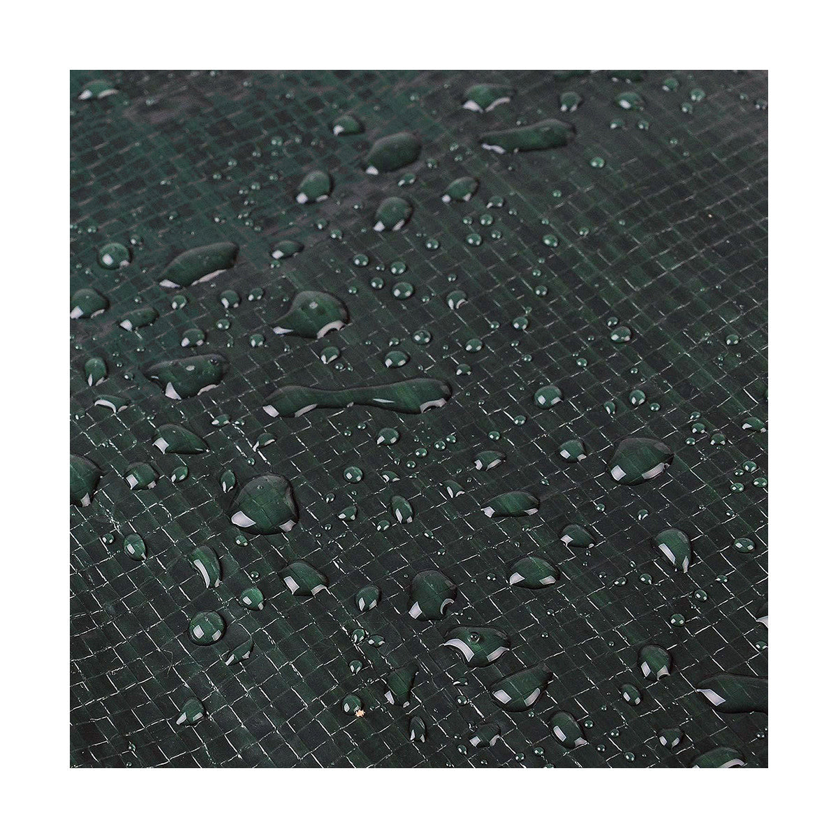 V9H9C49C5891CCB6983650C1F162E41B1D7R3449389P5