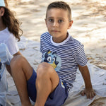 V5HEE5C5FFD1126C0FAA9BB0C4DF013A884R6706563P3