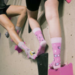 V5H3CA25F8EE359420B00B63C3B98D33465R4952193P3