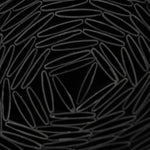 V5H899A27EEBFCD15B905A9E6E6FD5F450ER6166427P2