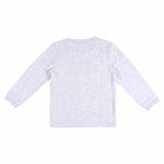 V4HBF14925026333755CF8A03F9671512ABR5507693P3