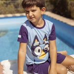 V4H1E35F5A0168E355C0752750E0C2074FDR5556078P6